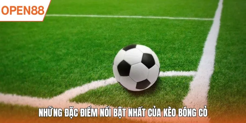 Những đặc điểm nổi bật nhất của kèo bóng cỏ